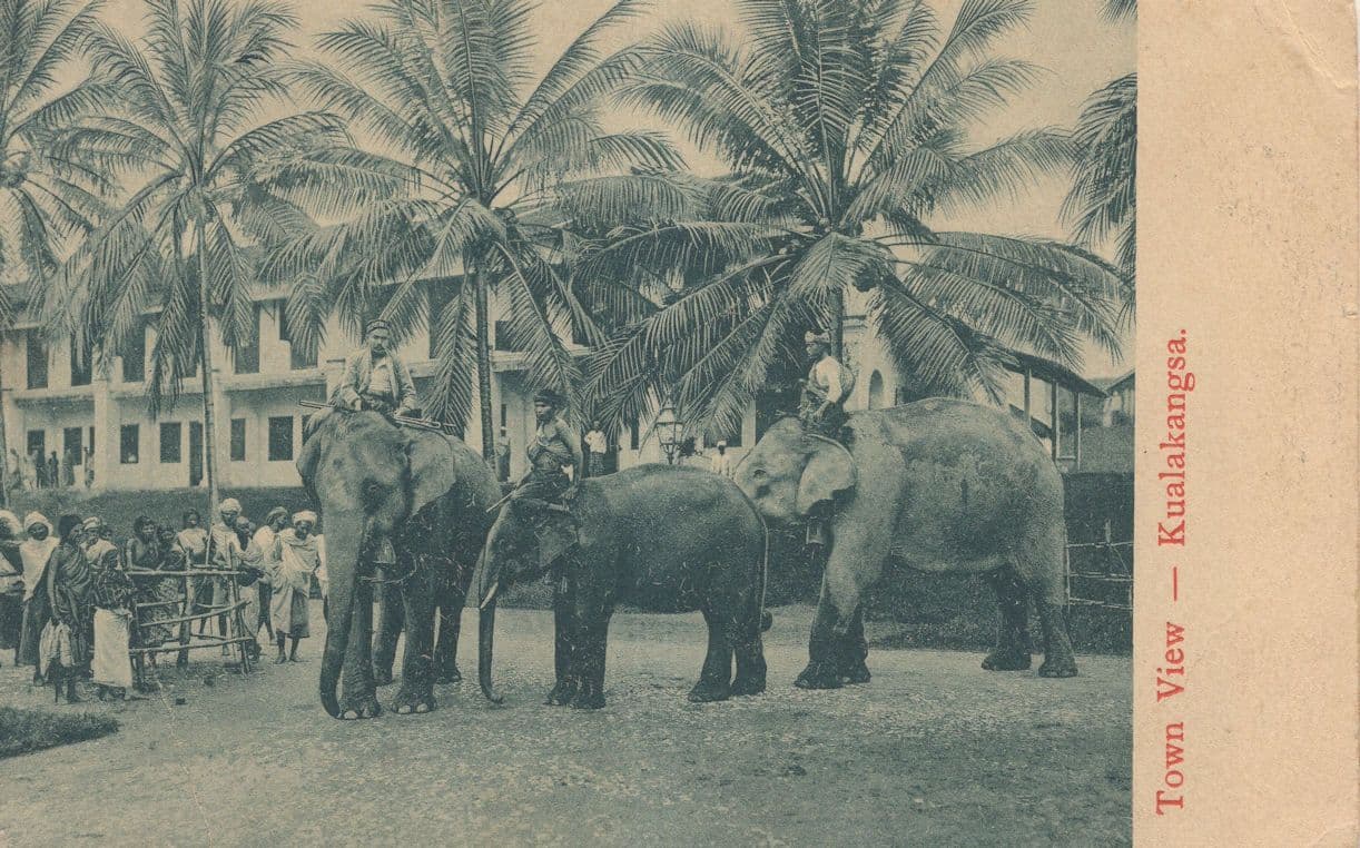Singapore Town View Kualakangsa Elephants Old Postcard