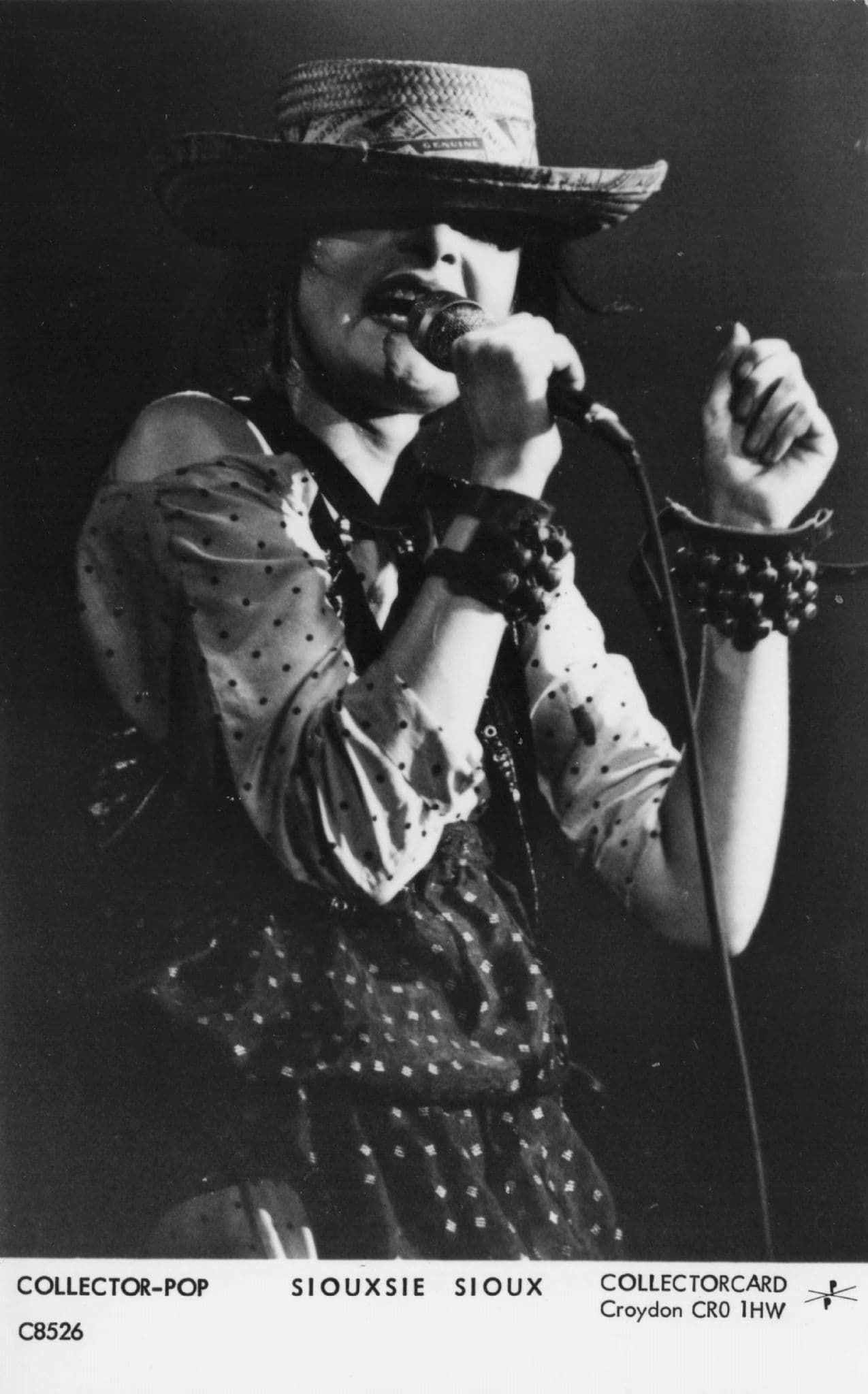 Siouxsie & The Banshees Collectorcard Antique Punk Rock Postcard