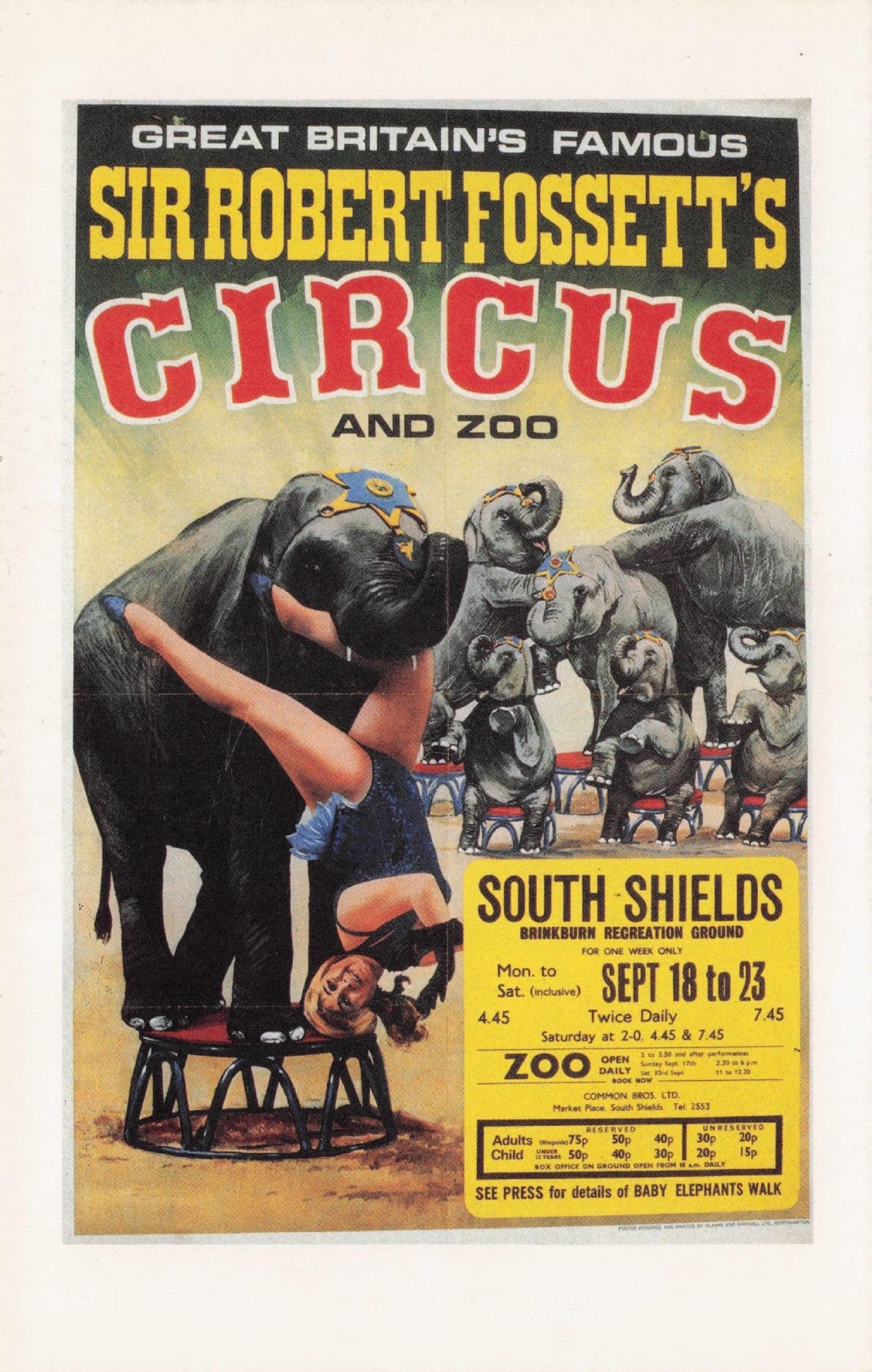 Sir Robert Fossett's Circus South Shields Tyne & Wear Poster Postcard