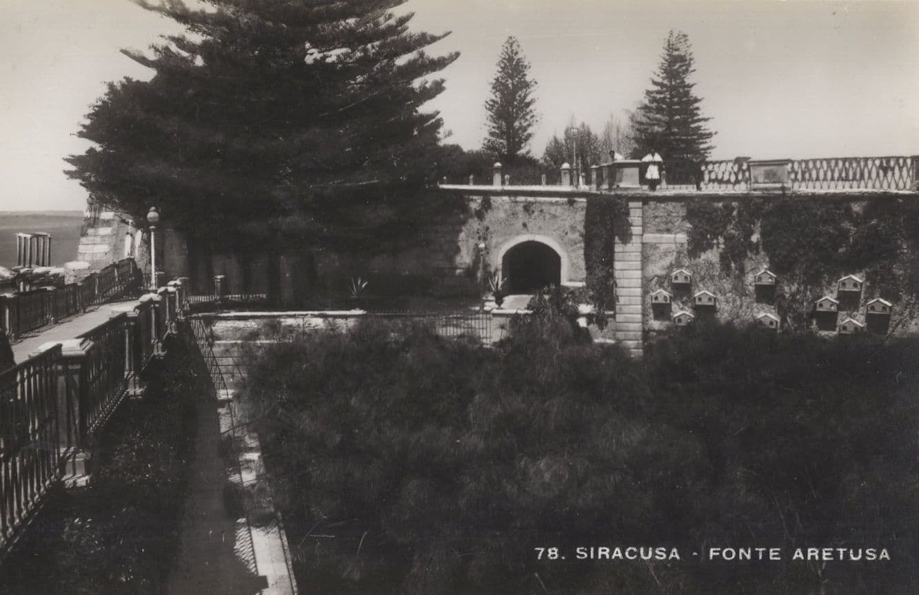 Siracusa Ponte Aretusa Italian Bridge Old Real Photo Postcard