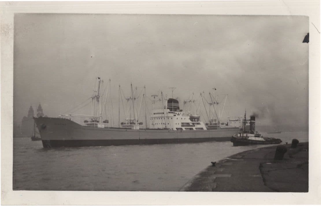 Sistina Cargo Ship New Zealand Route Vintage Rare Photo
