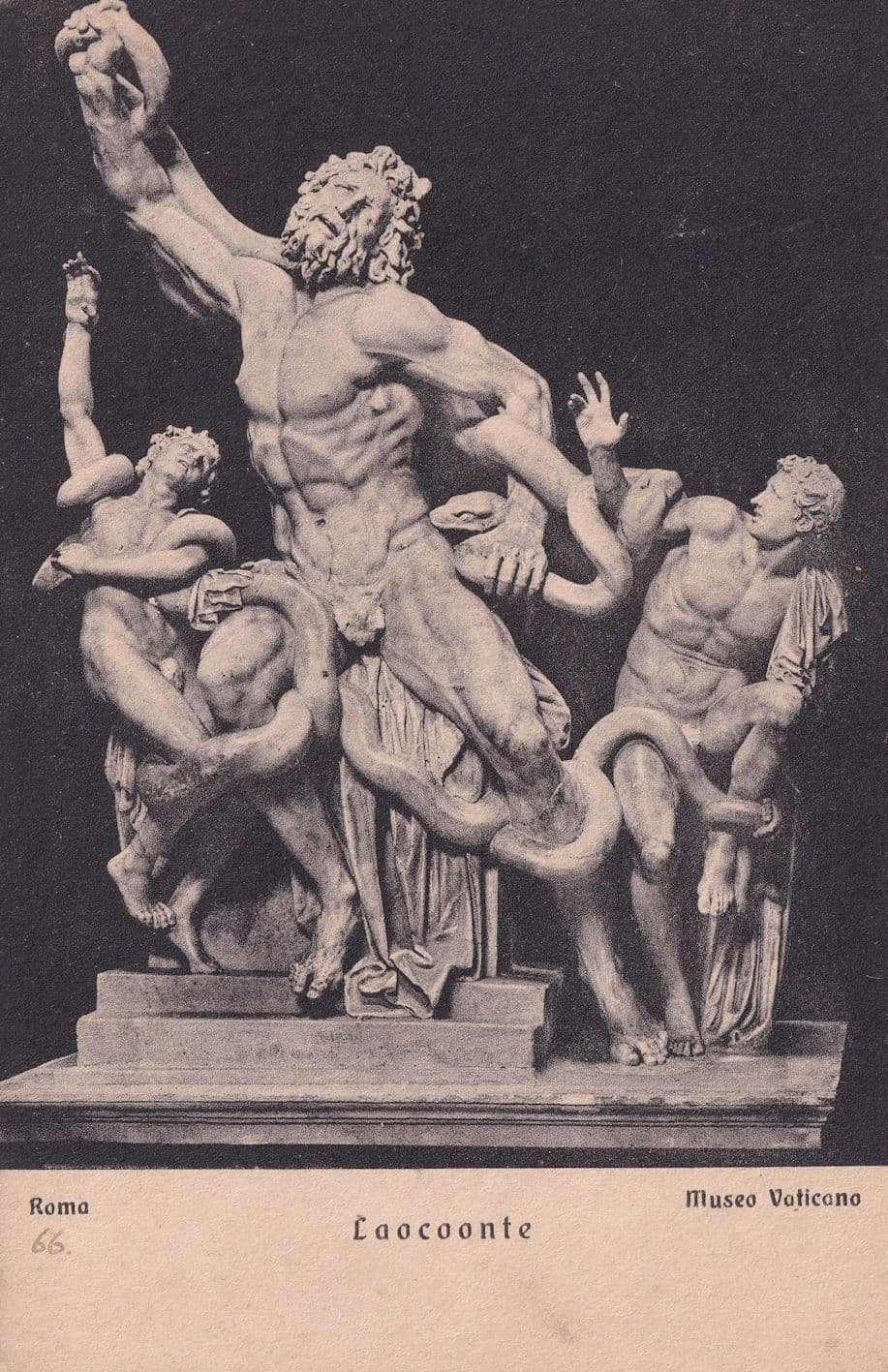 Skulpturen Il Laocoonte Ernesto Richter Vaticano Museum Postcard