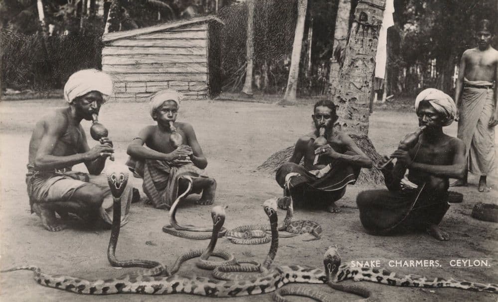 Snake Charmers Ceylon India Antique Real Photo Postcard