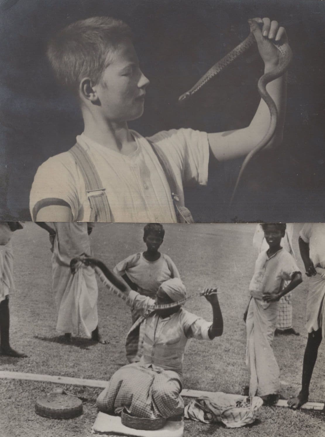 Snake Swallowing Charmer 2x Antique Postcard s