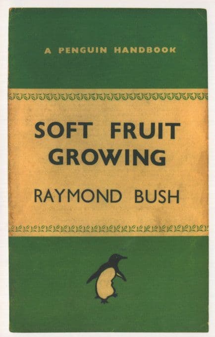 Soft Fruit Growing Raymond Bush 1945 Book Postcard