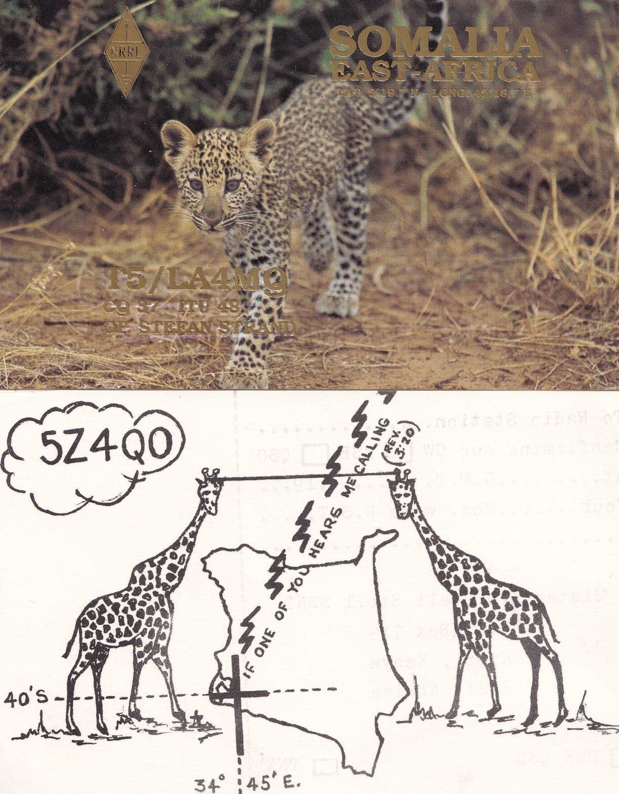 Somalia Guyana Kenya African Wildlife 4x QSL Radio Card s