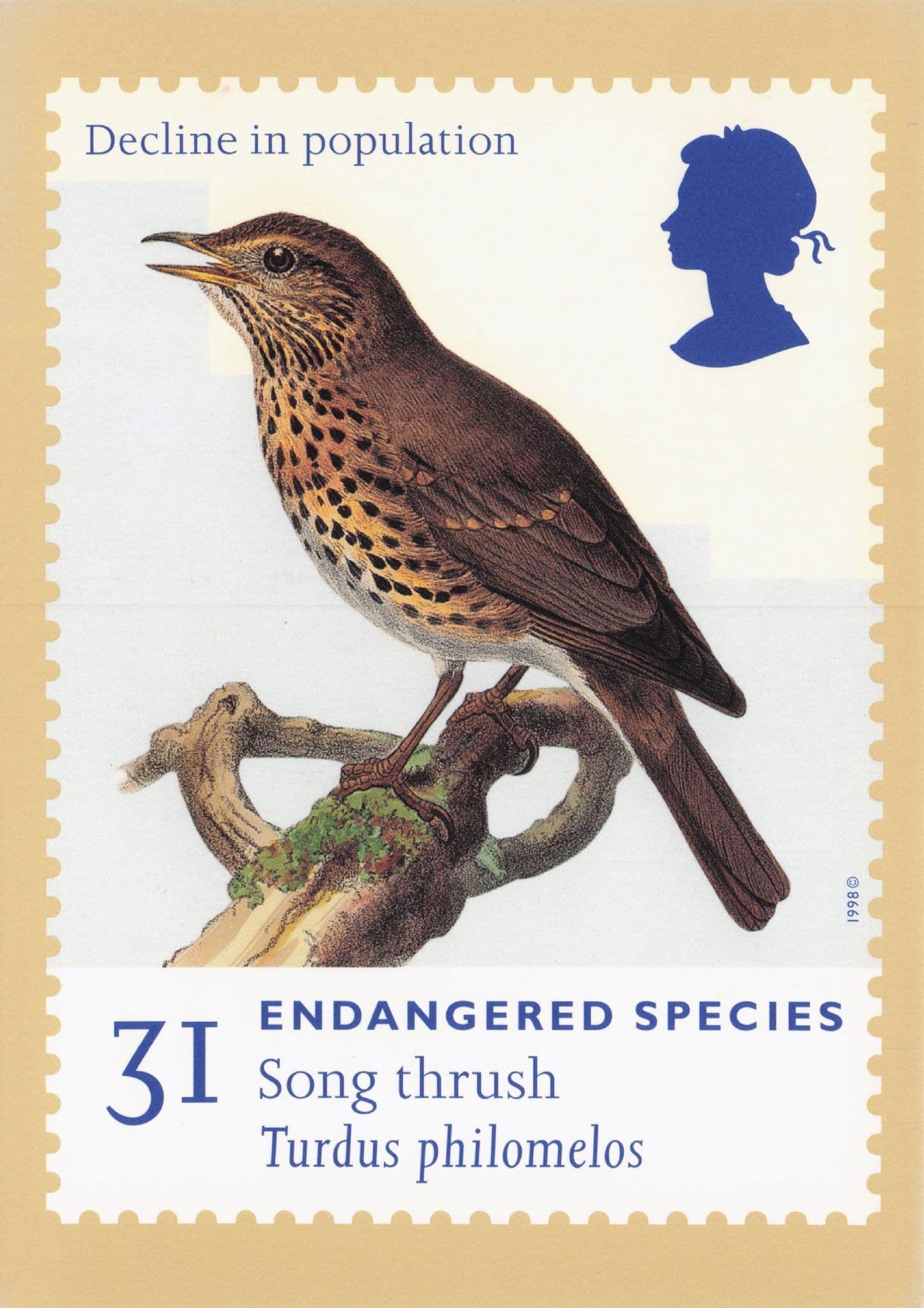 Song Thrush Bird Endangered Species FDC Postcard