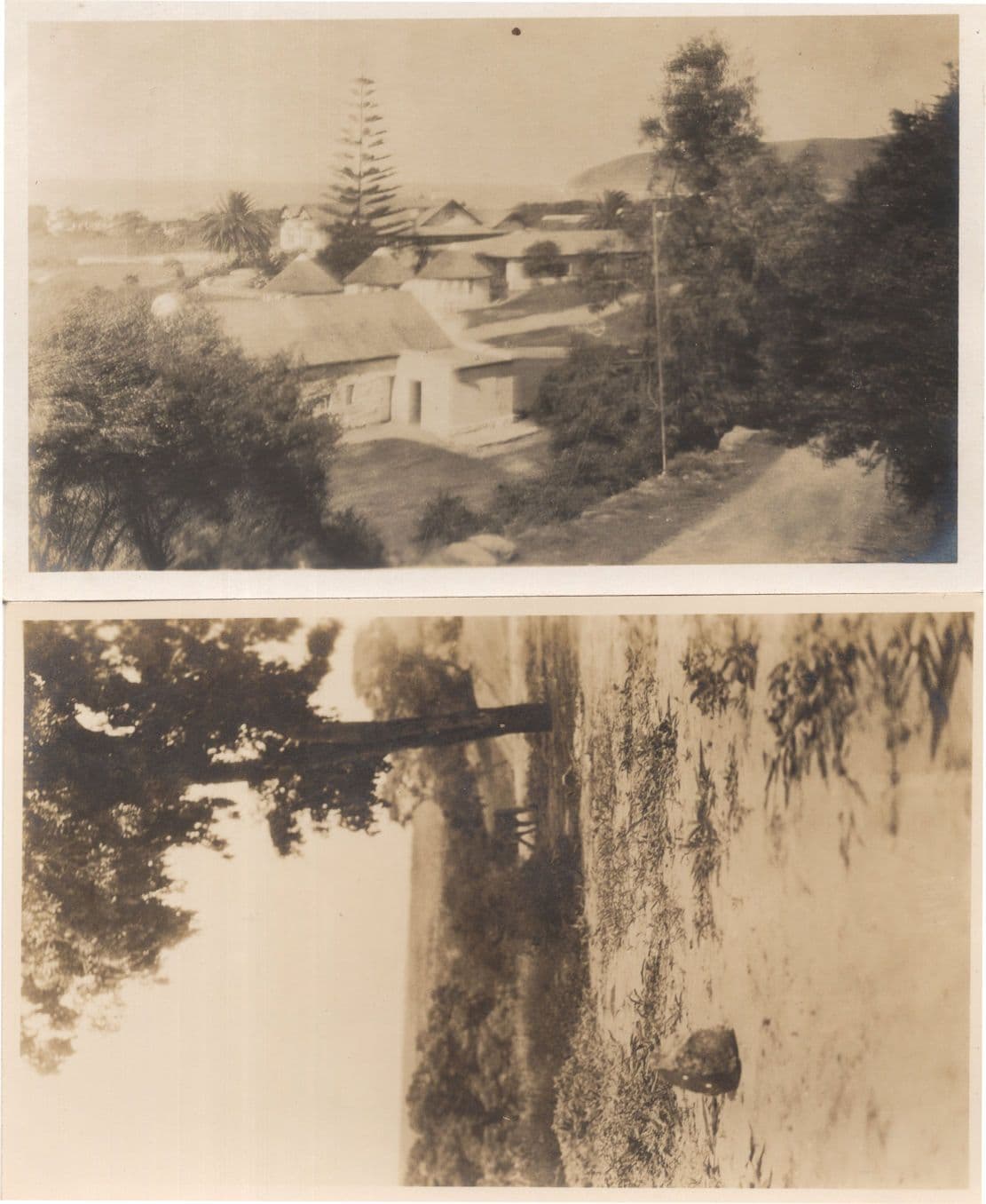 South Africa Houses in Wilderness Baboon 2x Old Photo Postcard s