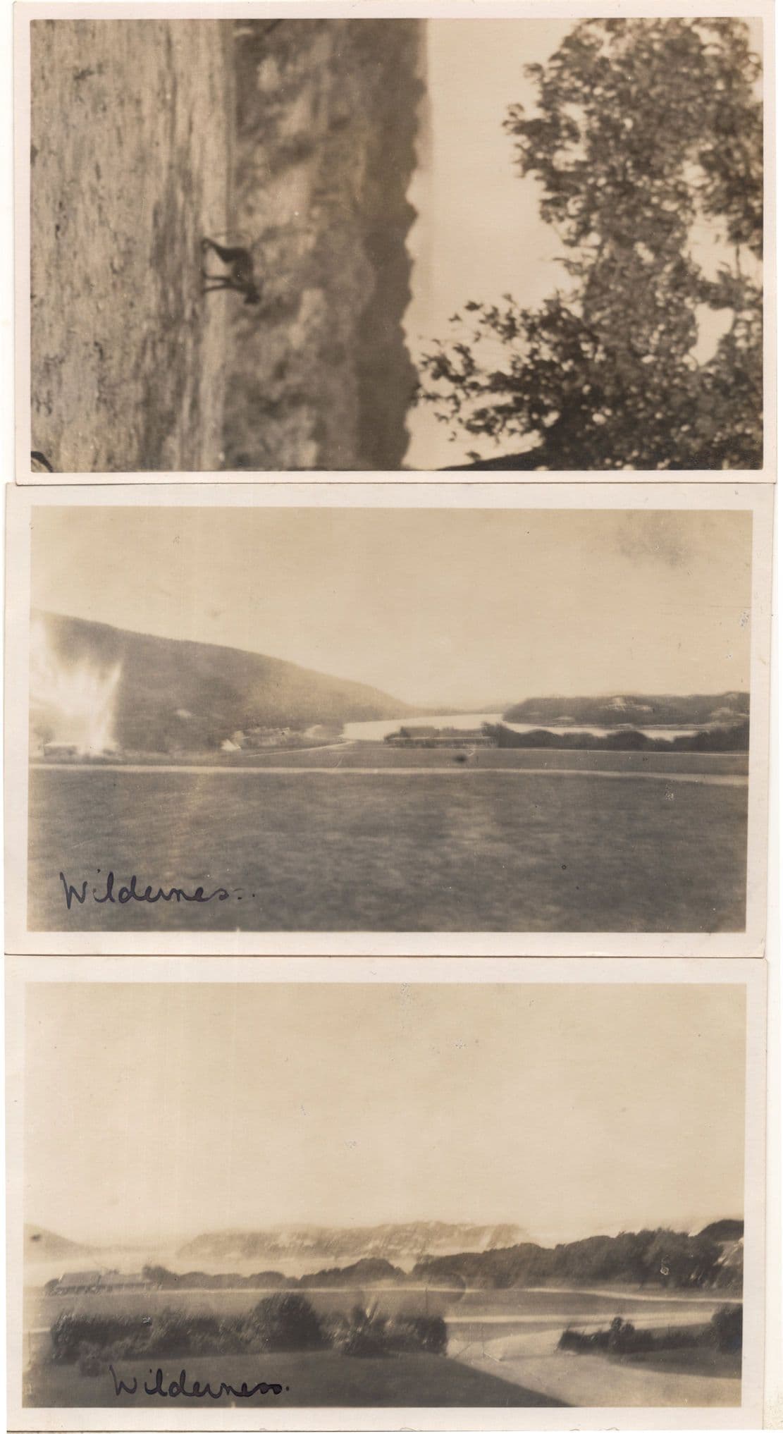 South Africa Views From Wilderness Hotel Baboon 3x Old Photo Postcard s