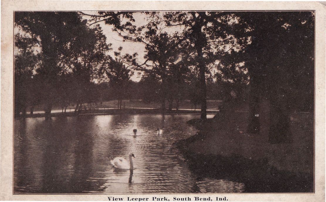 South Bend Leeper Park Indiana USA Swans River Old Postcard