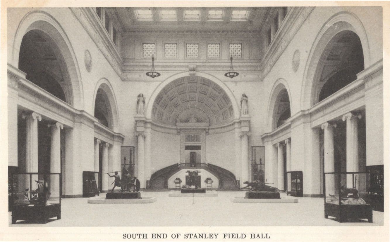 South End Of Stanley Field Hall, Field Museum Chicago Illinois USA Postcard