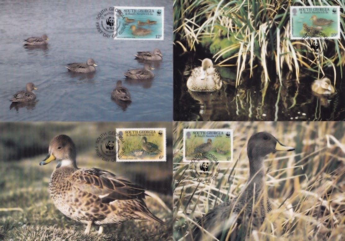 South Georgia Teal Bird 4x WWF Bird First Day Cover Postcard Bundle
