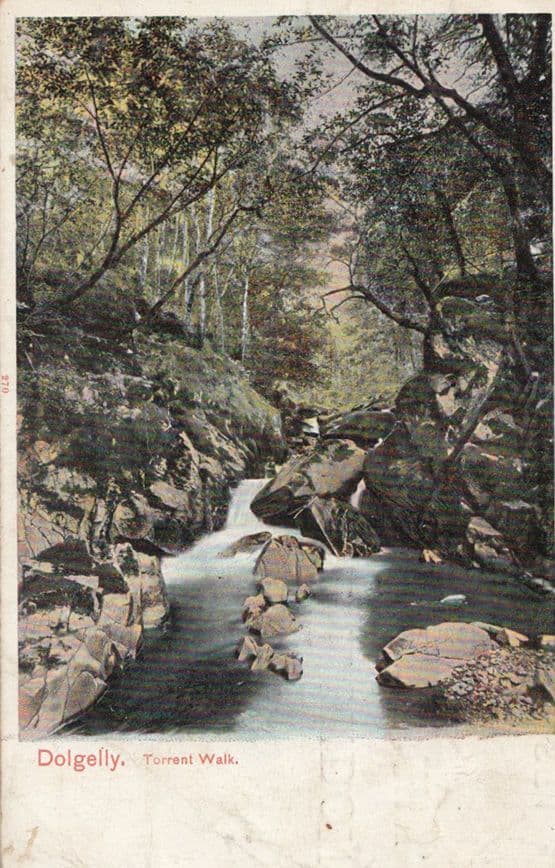 Southend On Sea Shoe Shoes Company Antique Advertising Postcard