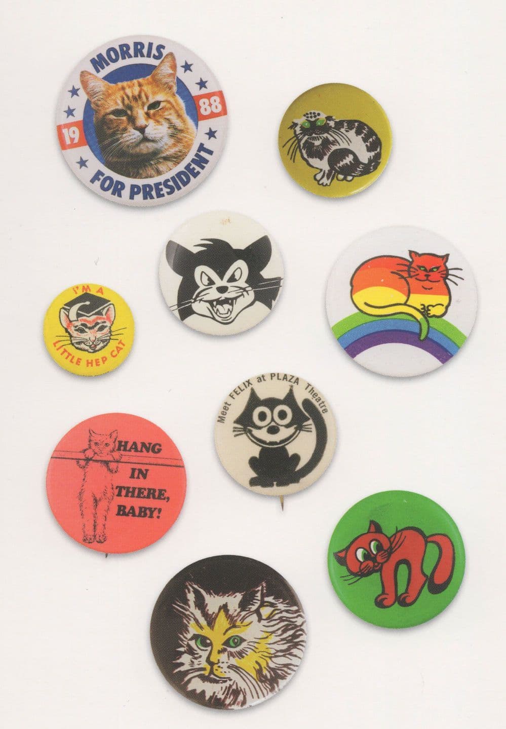 Soviet Estonian Rare Breed Cat Rare Comic Old Badge Button Postcard