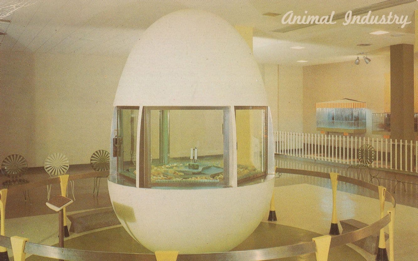 Space Age Futuristic Bird Chick Giant Egg Exhibit Old Postcard