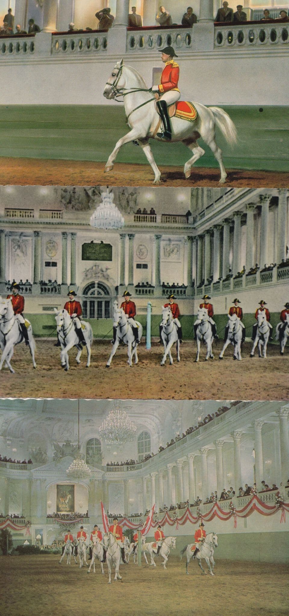 Spanish Riding School Wien Austria 3x Painting Horse Postcard s