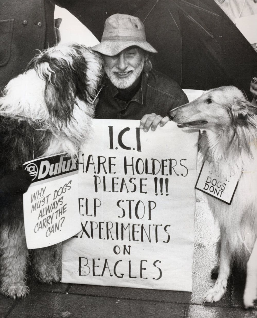 Spike Miligan Dulux Paint ICI Animal Dog Smoking Experiments Press Photo