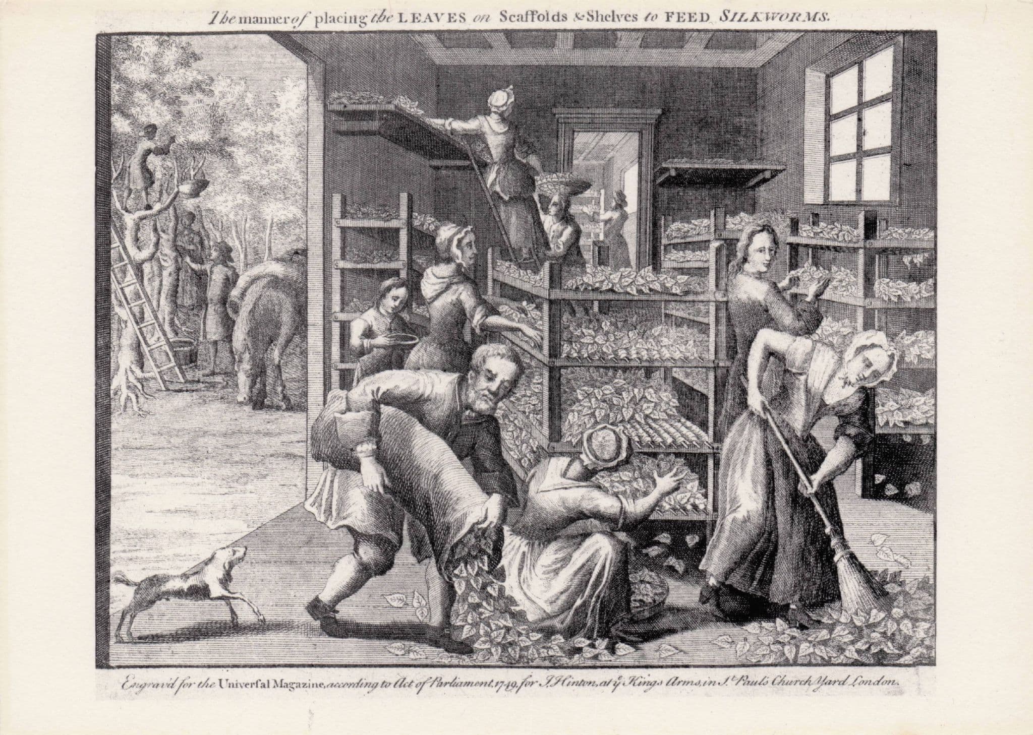 Spitalfields Silk Weavers in 1700s Antique Paper London Photo Postcard