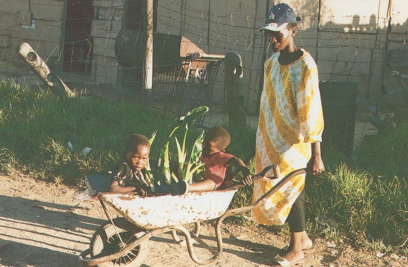 Squatter Camp Planting Work Cape Town South Africa Postcard