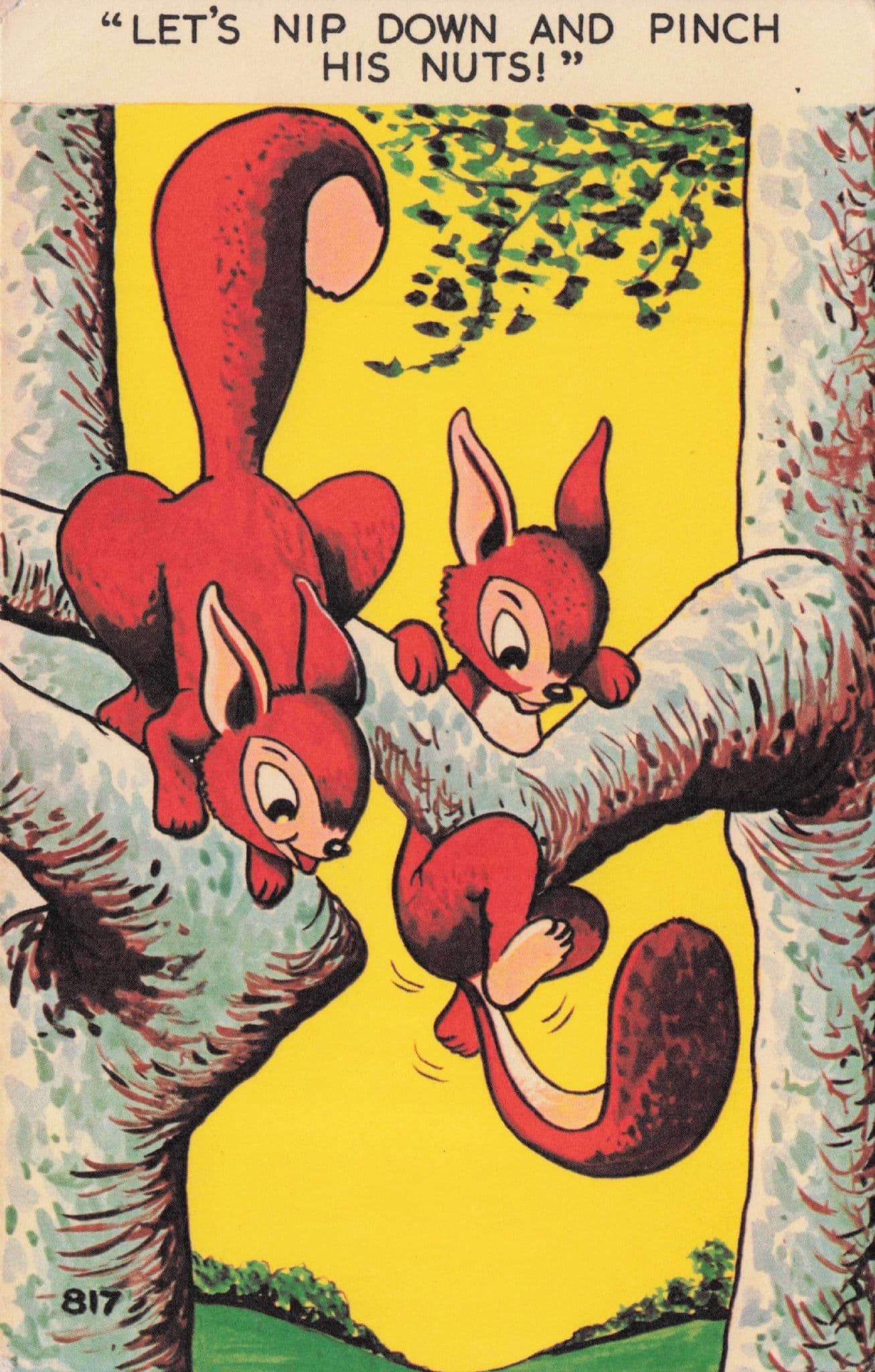 Squirrel Nuts In Tree Stealing Eating Nut Pouch 1970s Comic Postcard
