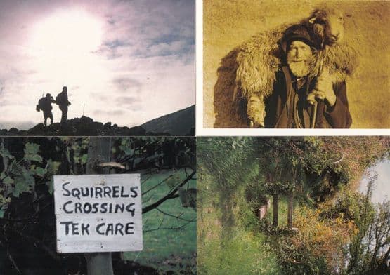 Squirrels Crossing Signpost Rambling at Dusk Yorkshire Farm Gate 4x Postcard s