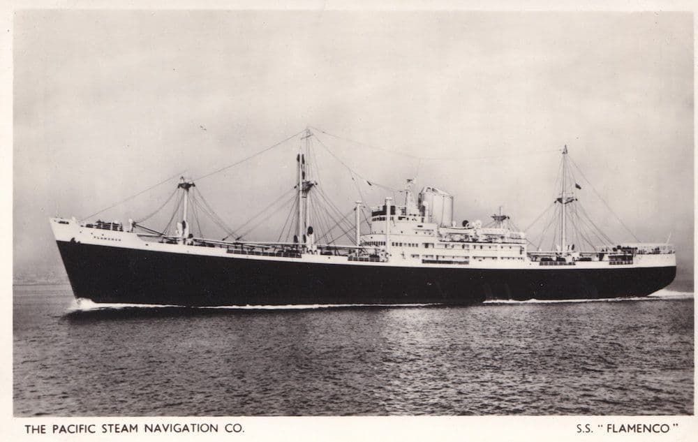 SS Flamenco Pacific Steam Navigation Company Ship Old RPC Postcard