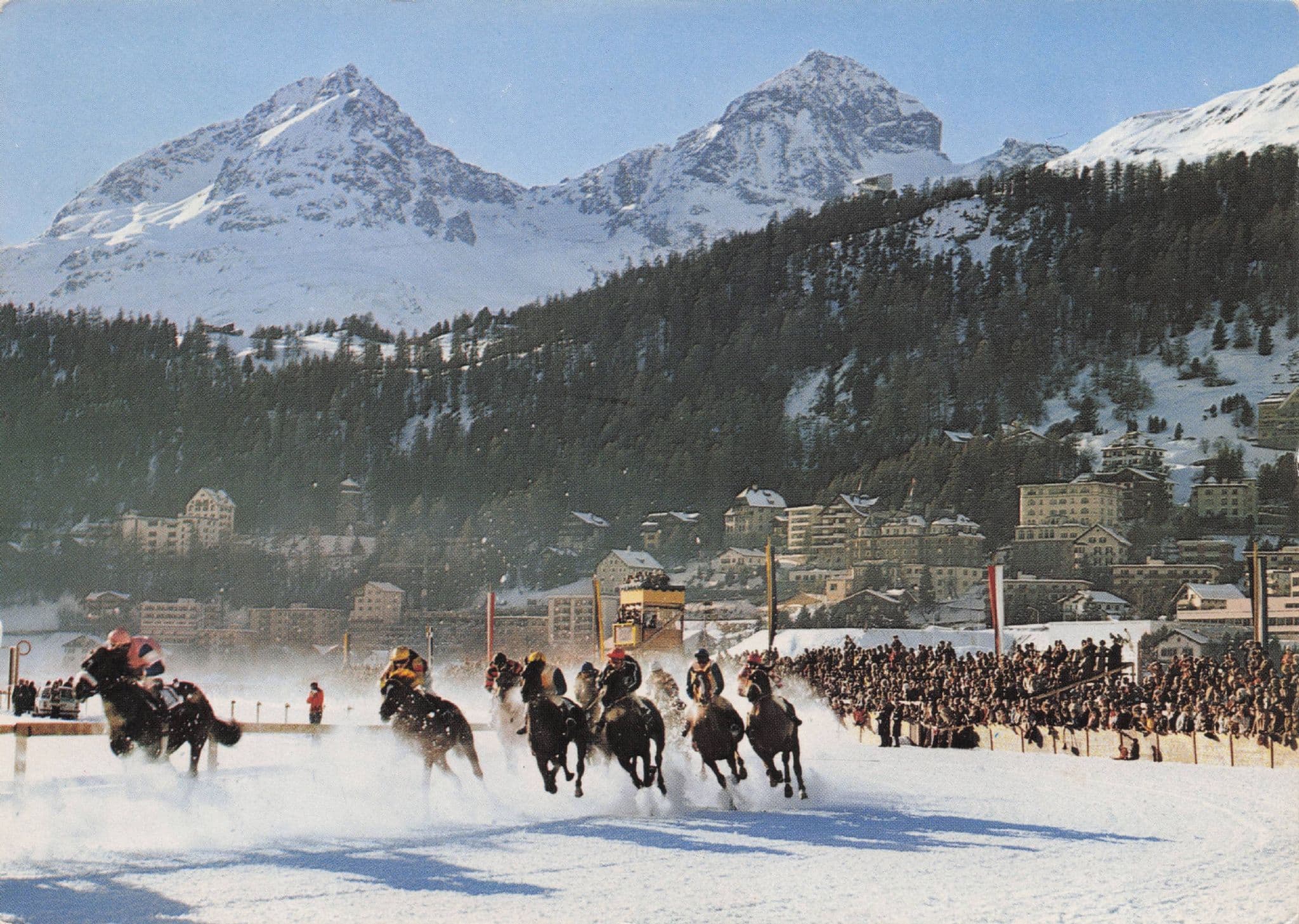 St Moritz Switzerland Horse Race in Snow 1970s Swiss Postcard