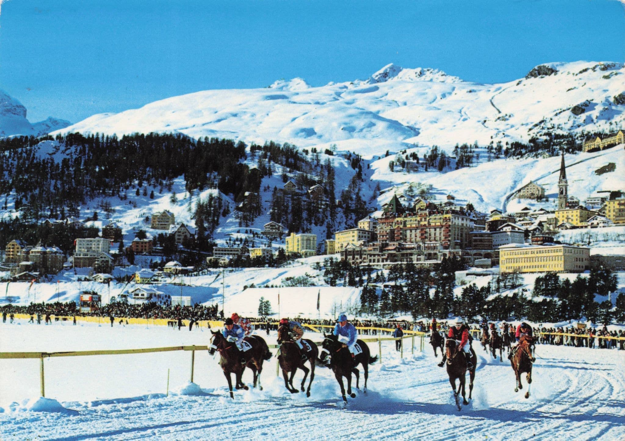 St Moritz Switzerland Horse Race in Snow Swiss Postcard