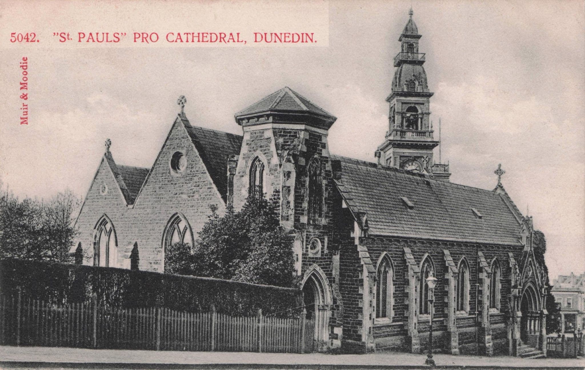 St Pauls Pro Cathedral New Zealand Old Dunedin Rare Postcard