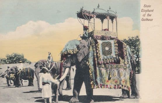 State Elephant of Gaikwar India Antique Indian Postcard