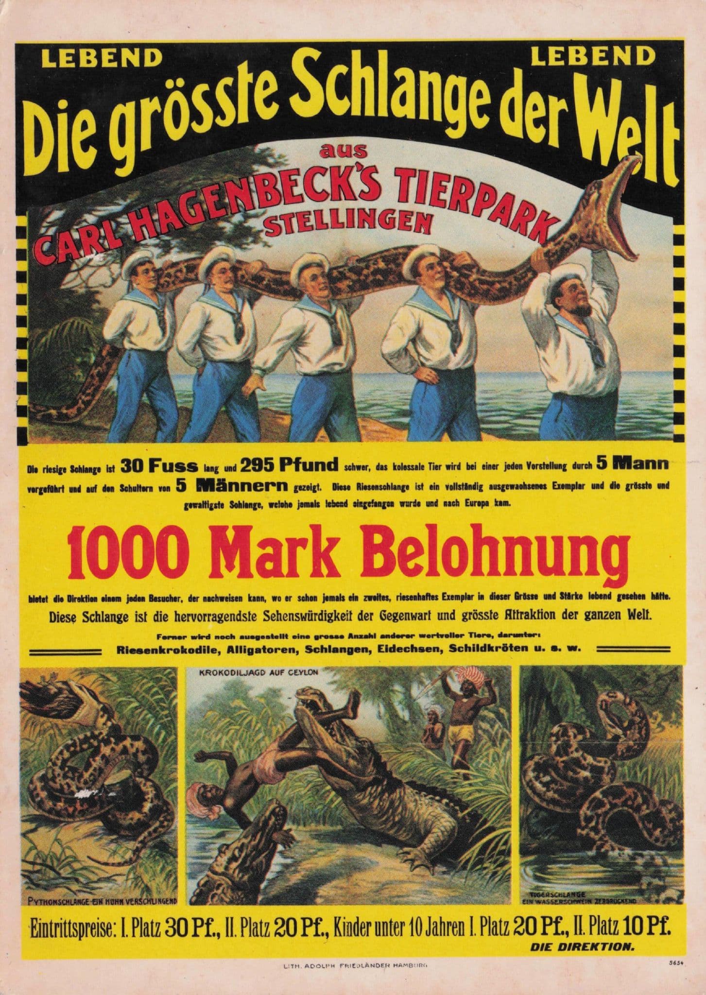 Stellingen German Dinosaur Circus Show Poster Postcard