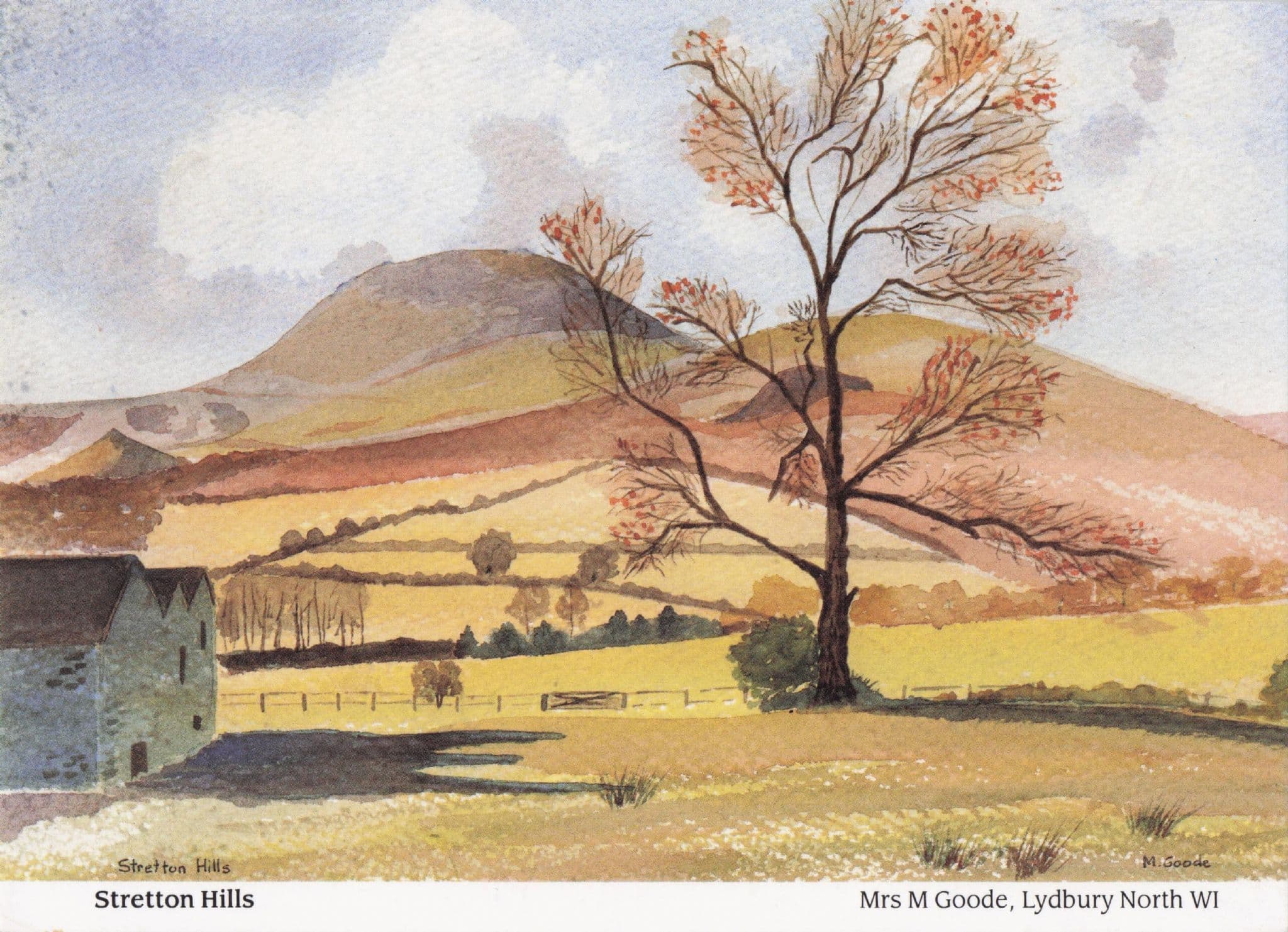 Stretton Hills Scarborough Women's Institute Painting Postcard