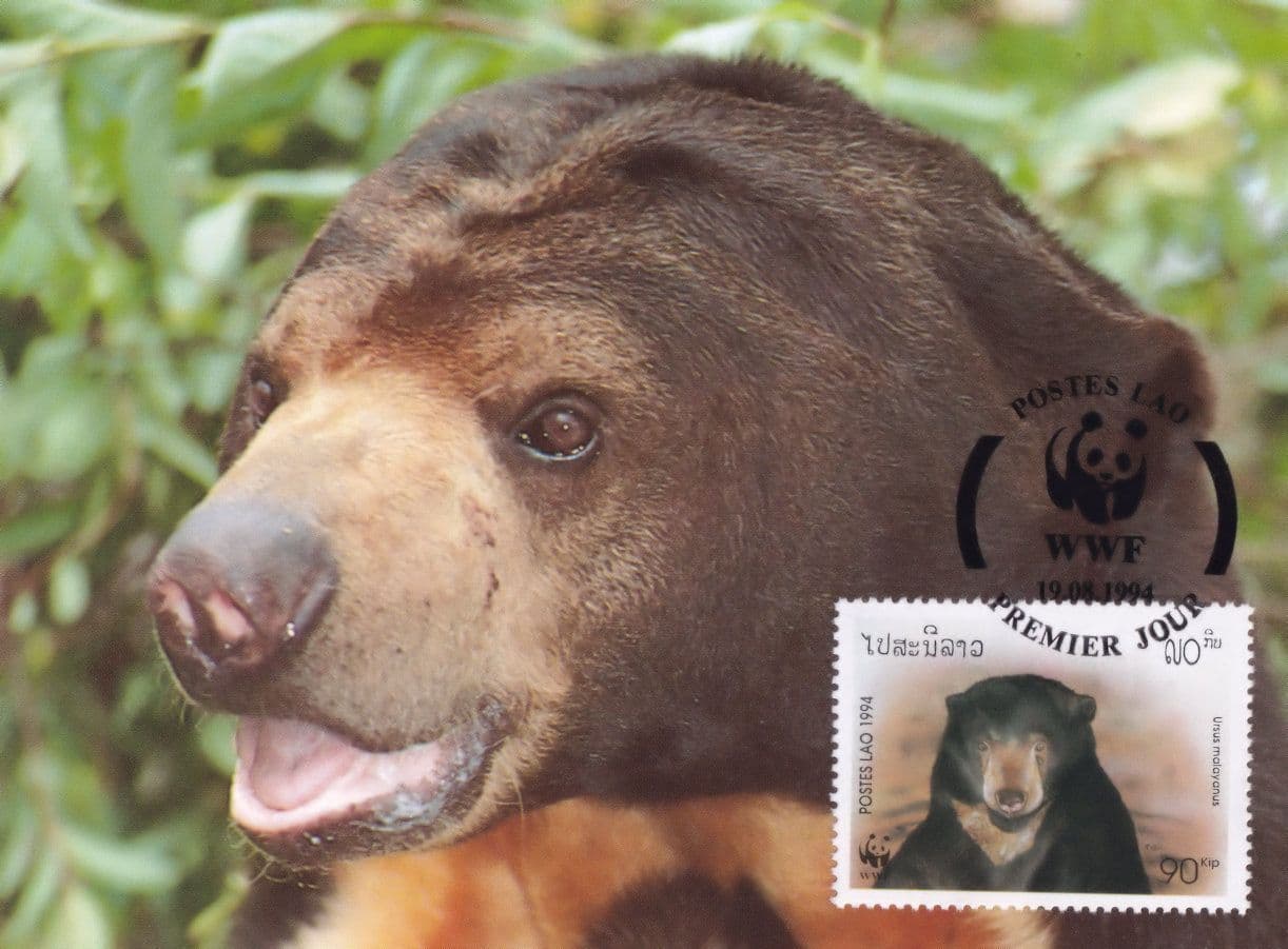 Sun Bear Ursus Malayanus WWF Stamp First Day Cover Postcard