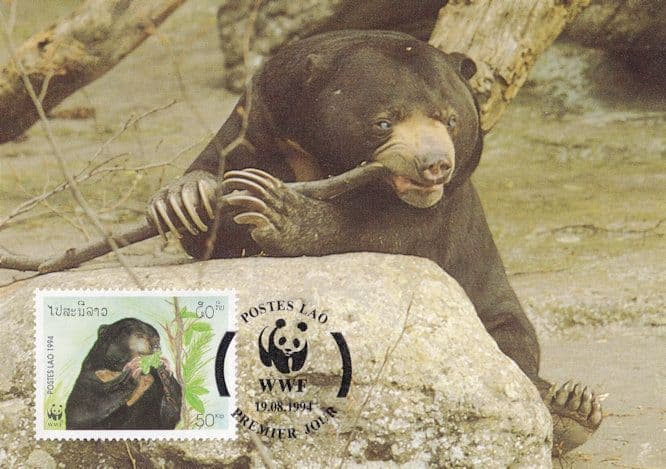 Sun Bear Ursus Malayanus WWF Wildlife Stamp First Day Cover Postcard