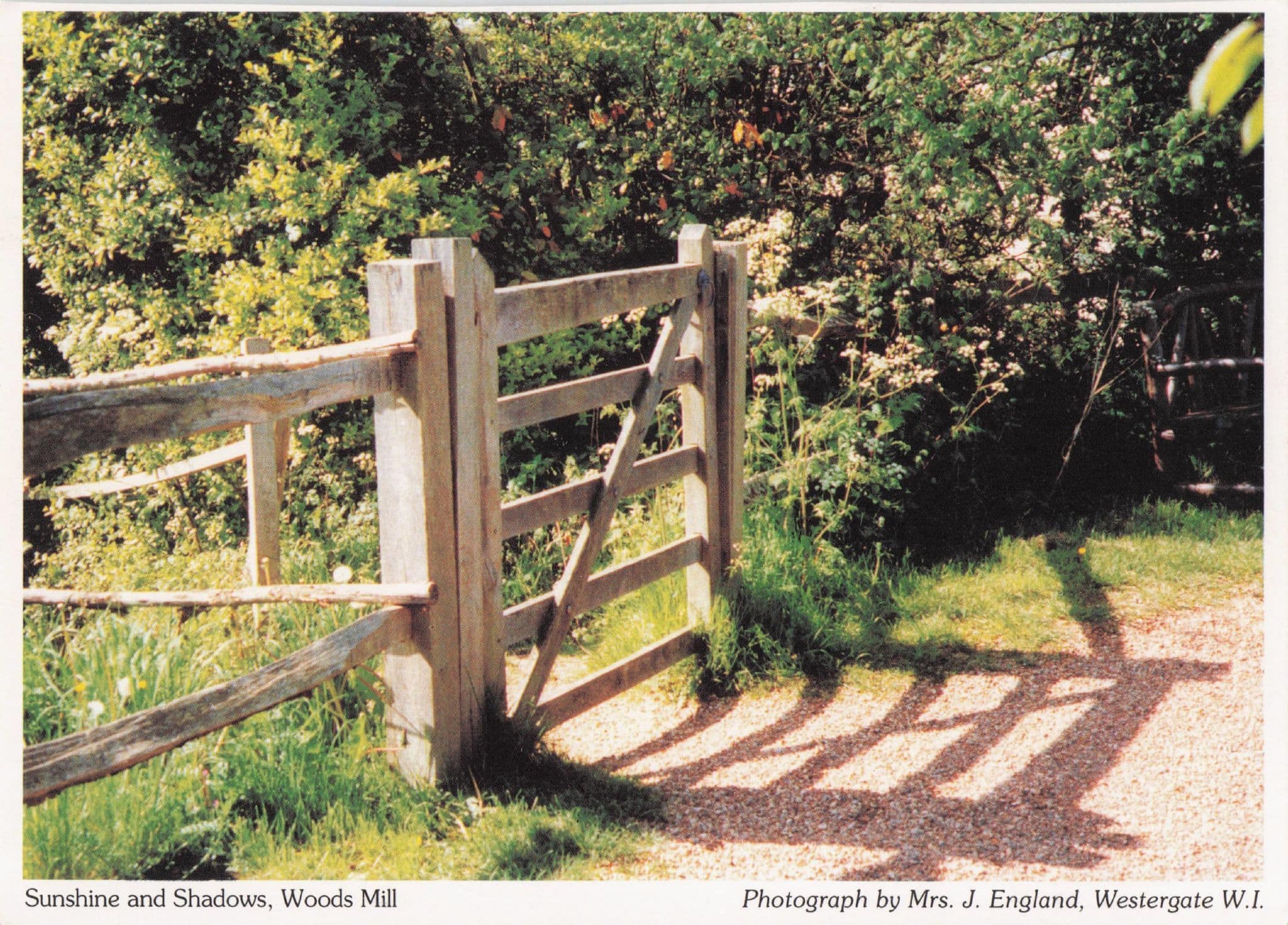Sun Farm Gate Summer Reflections Woods Mill Sussex Women's Institute Postcard