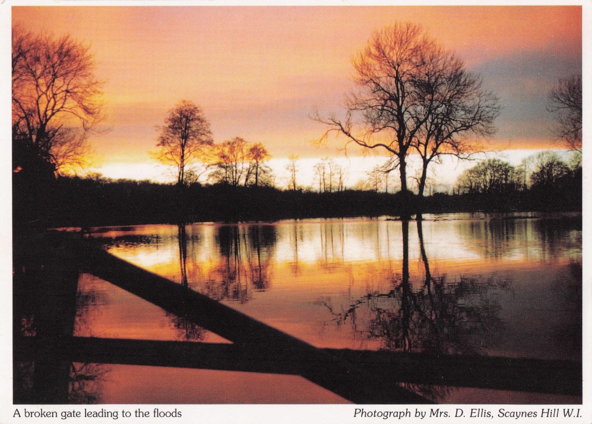 Sussex Floods at Sunset Disaster Women's Institute Photo Art Postcard