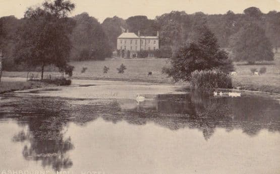 Swans On River at Ashbourne Hall Hotel Derby Vintage Real Photo Postcard