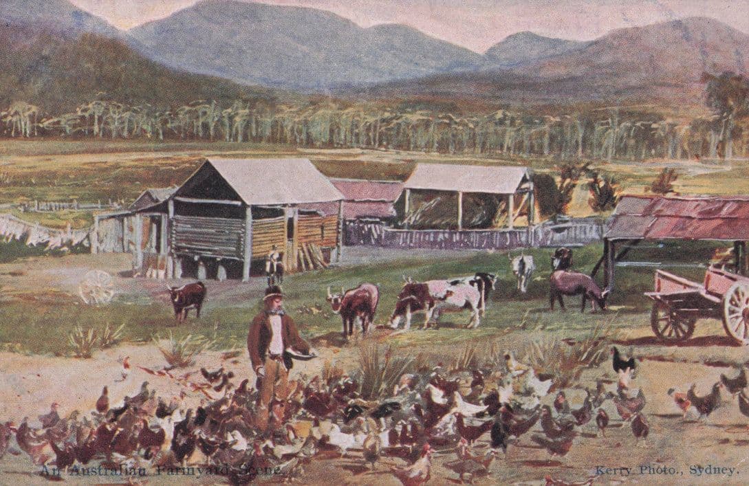 Sydney Farming Kerry Photo Old Australian Painting Postcard