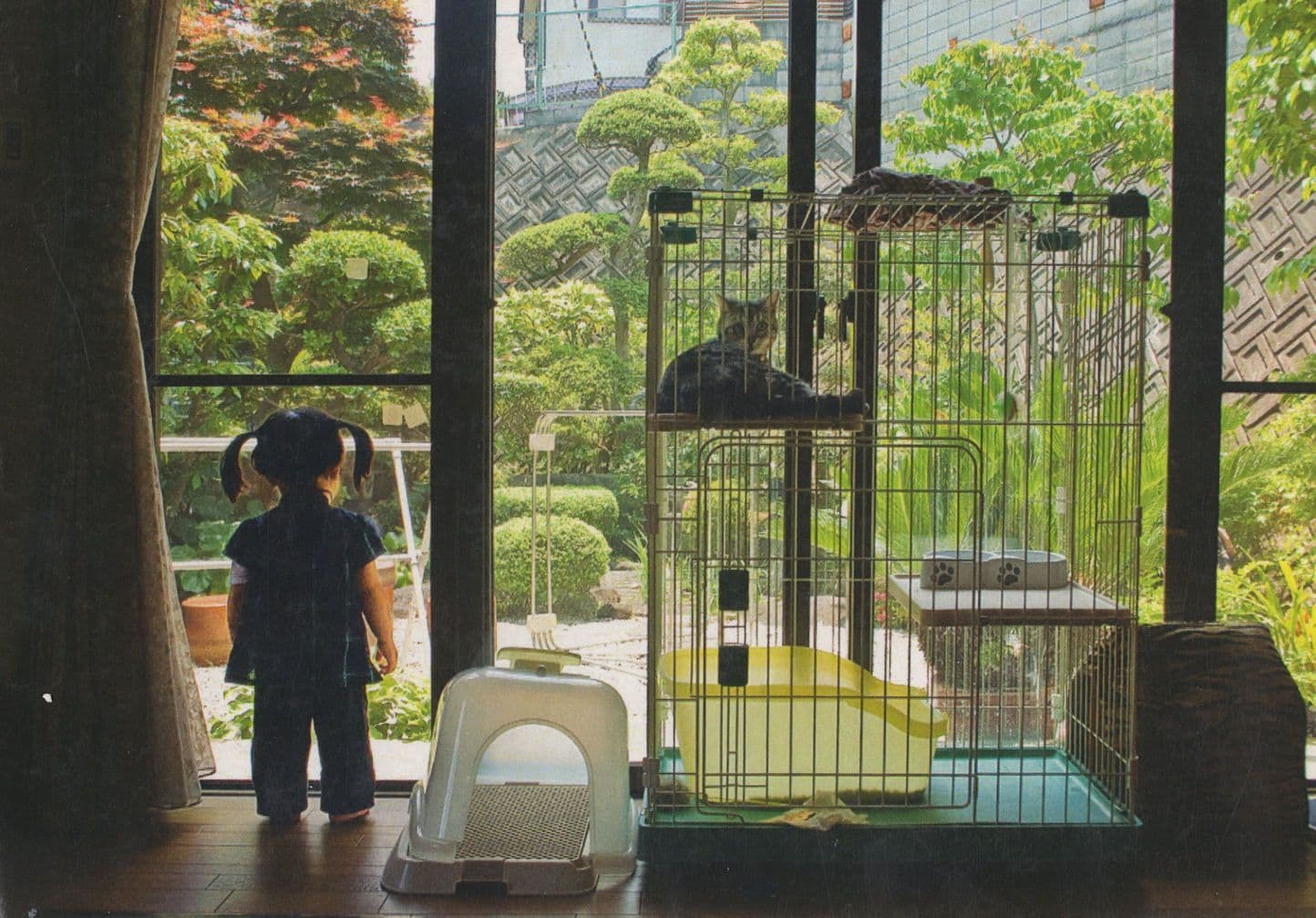 Tabby Cat in Cage in Stately Japanese Home Geffrye Award Postcard