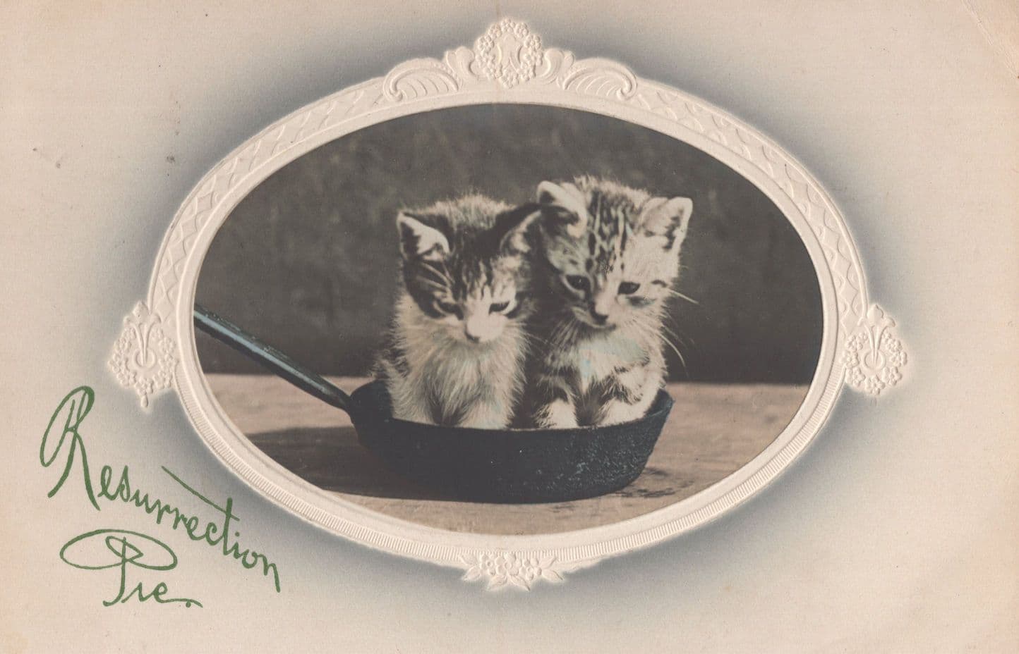 Tabby Cats Kittens in Frying Pan Resurrection Old Relief Mint Postcard