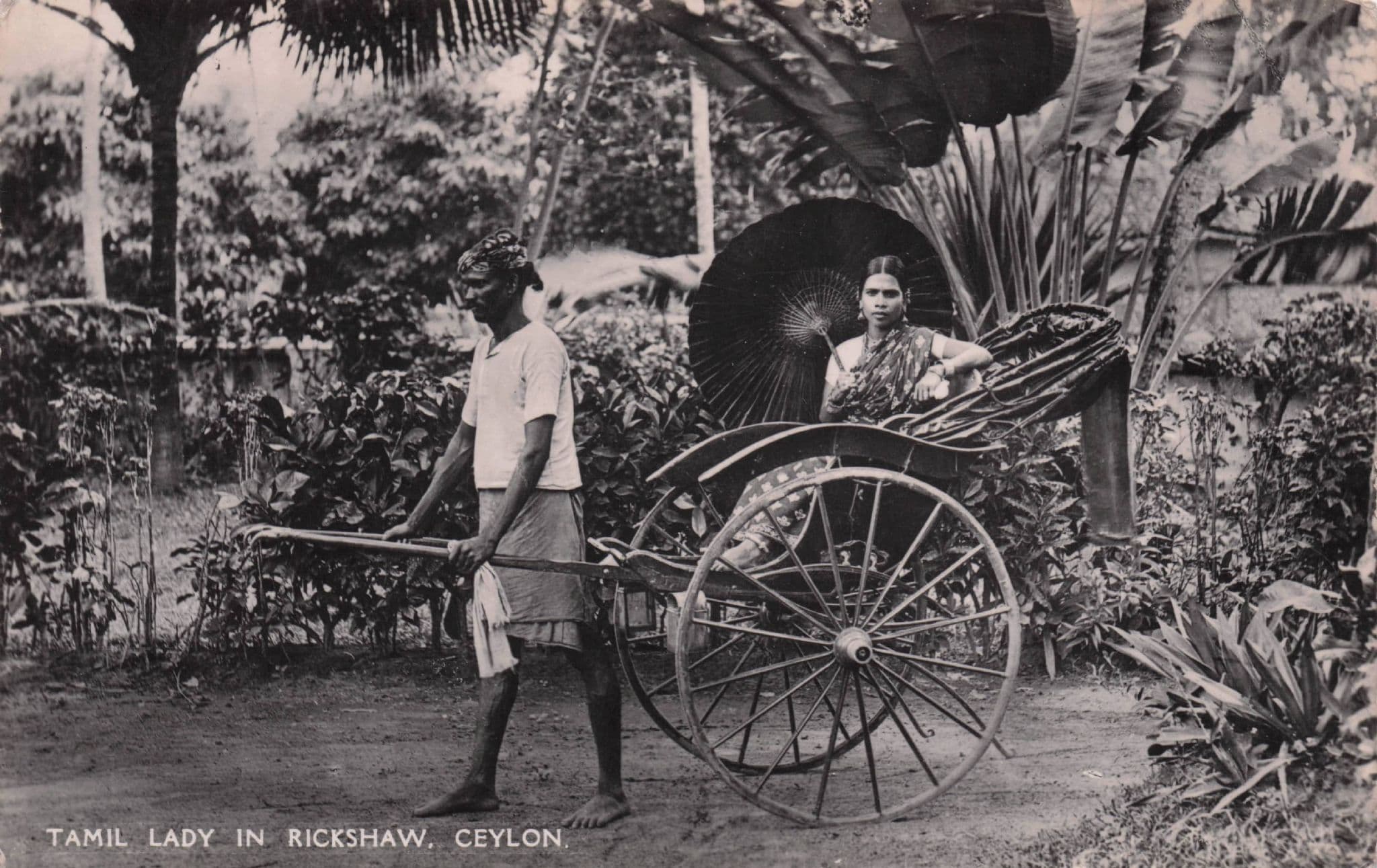 Tamil Lady in Rickshaw Ceylon Real Photo Indian RPC Postcard