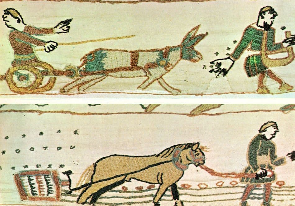 Tapisserie De Bayeux Farming Work Agriculture Postcard