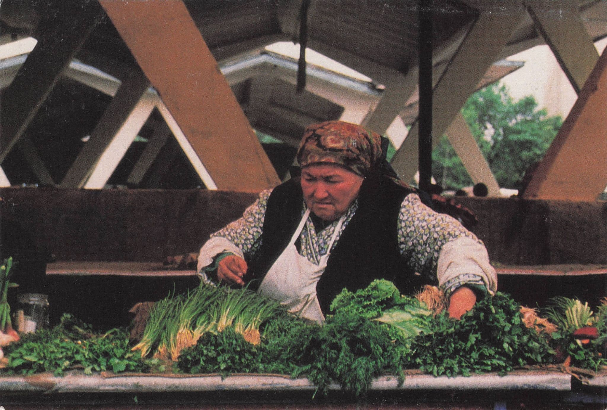 Tashkent Market Russian Soviet Lady Trader Rare Postcard