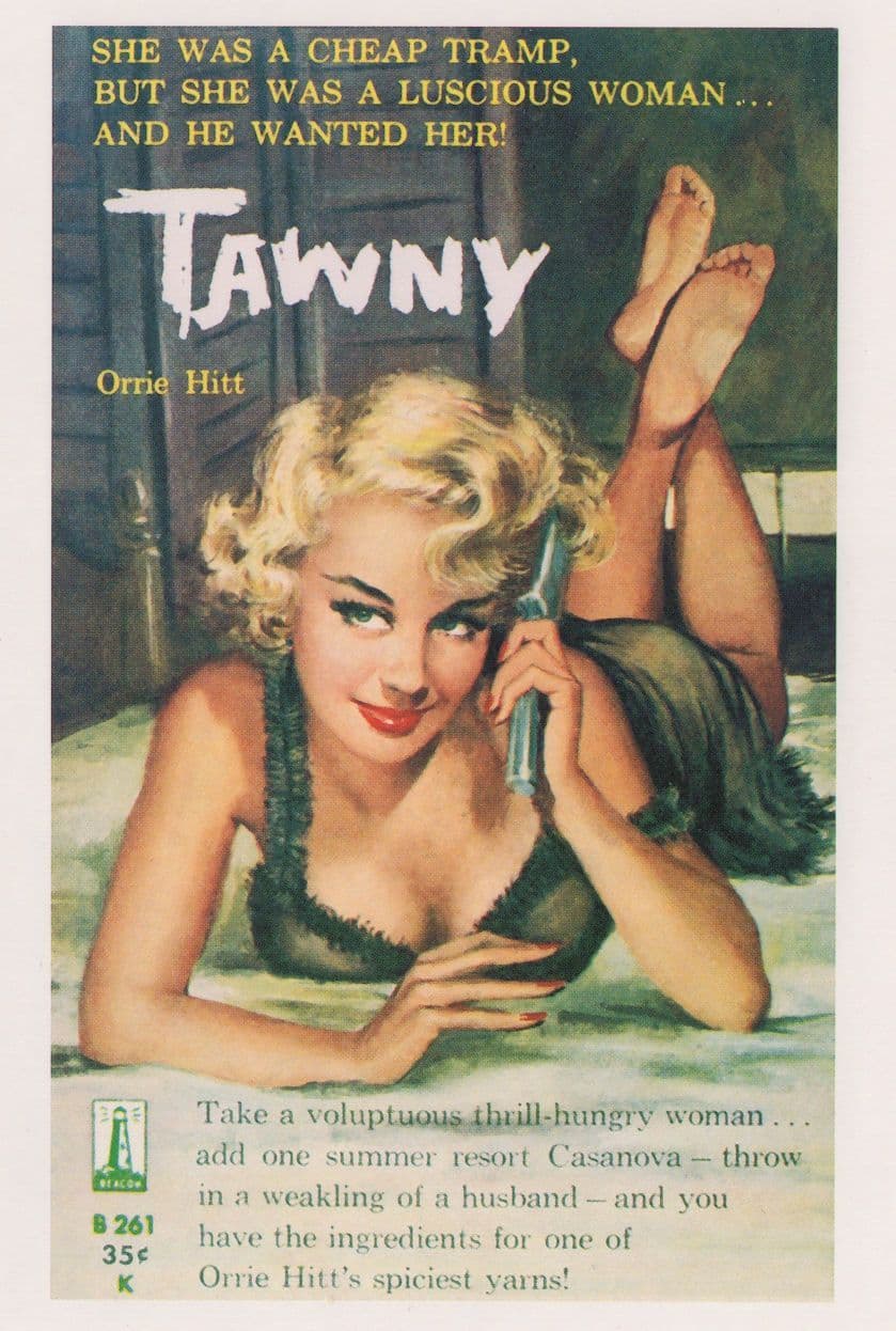 Tawny Casanova Holiday Risque Pulp Sexy 1950s Book Postcard