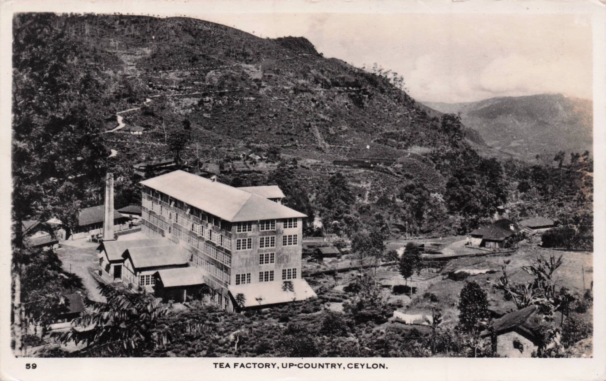 Tea Factory Up Country Ceylon Real Photo Old Postcard