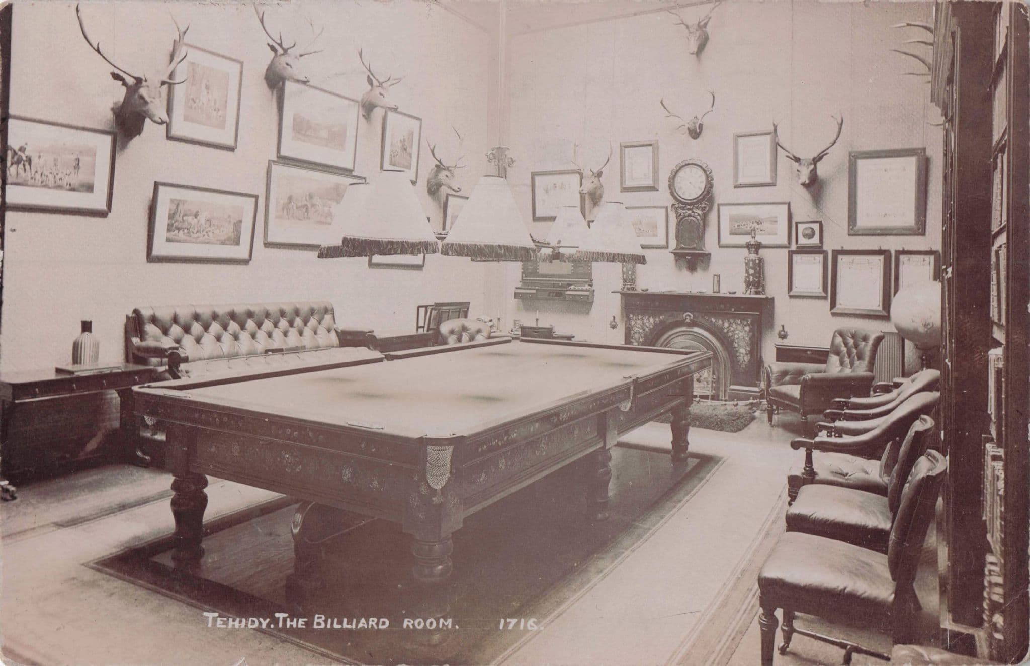 Tehidy Billiard Room Deer Hunting Heads Cornwall Old RPC Postcard