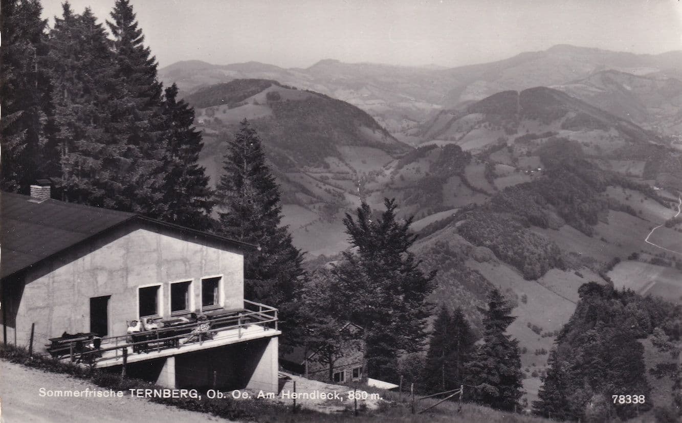 Ternberg Sommerfrische Real Photo Austrian Postcard