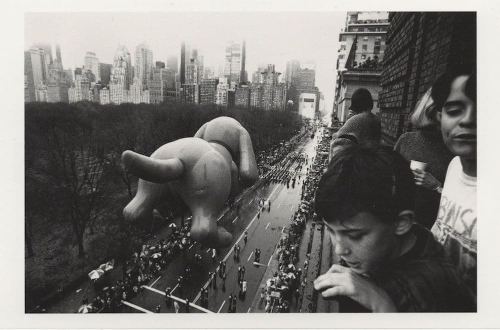 Thanksgiving Day Parade Pink Floyd Style Animal USA Postcard