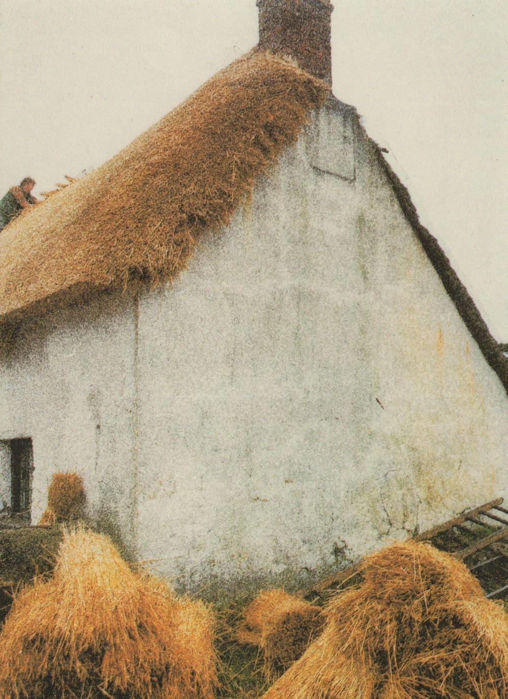 Thatcher Thatching Medieval Cottage Camden Graphics Postcard