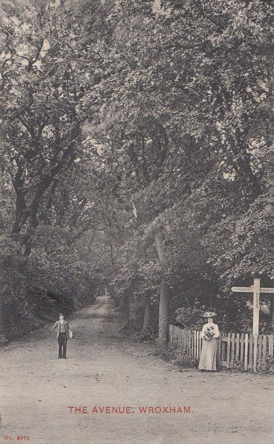 The Avenue Wroxham Romance On Street & Local Postmark Antique Postcard